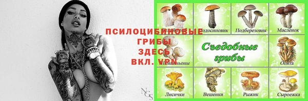 apvp Нефтекумск