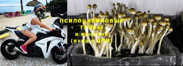 apvp Нефтекумск