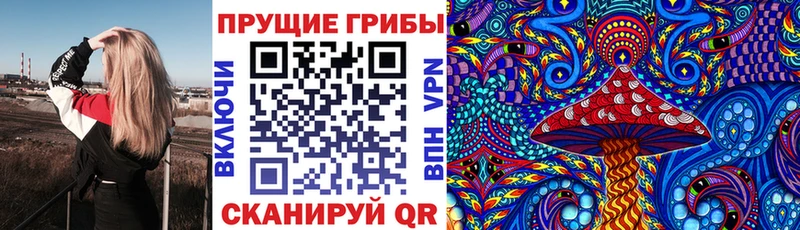 Псилоцибиновые грибы мухоморы  Купить где  Михайловка 